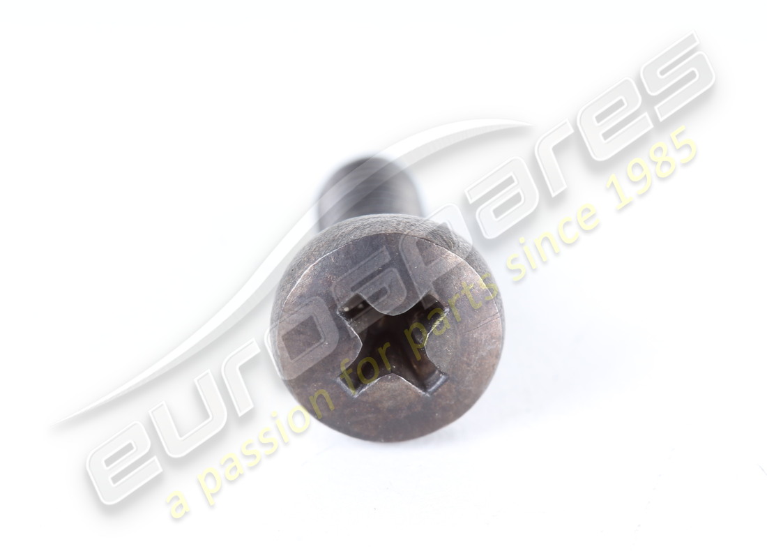 new ferrari screw. part number 13274117 (2)