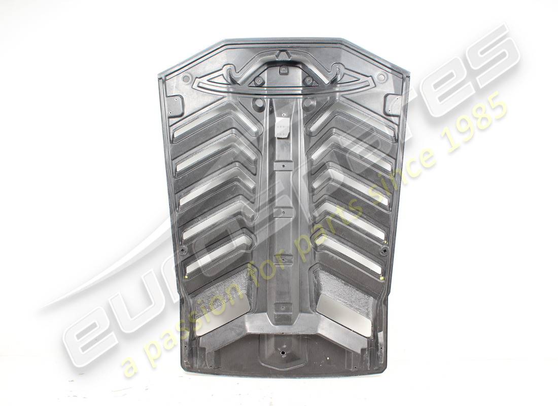 NEW (OTHER) LAMBORGHINI HOOD. PART NUMBER 4T3827025GRU (2) new (other) lamborghini hood. part number 4t3827025gru (2)