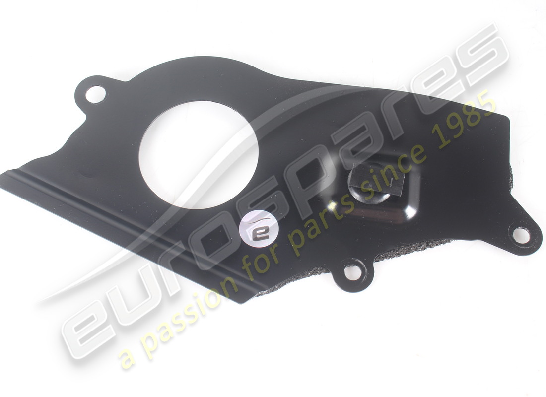 USED Ferrari COMPLETE LH DOOR REMOVABLE PLA . PART NUMBER 87877600 (1)