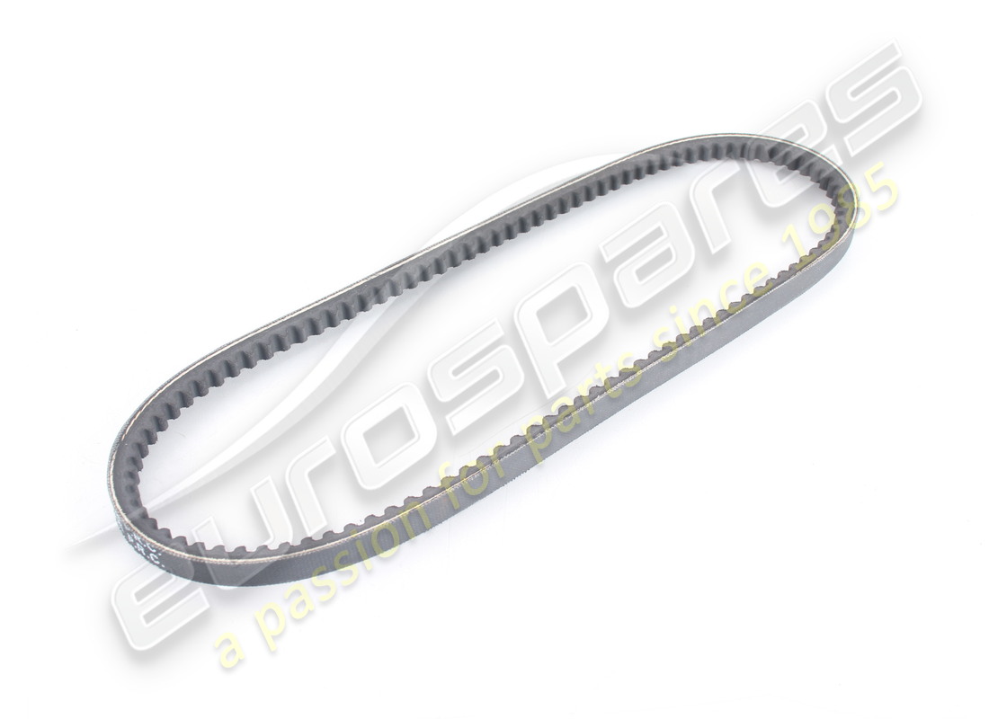 new oe power steering belt. part number 317837372 (1)