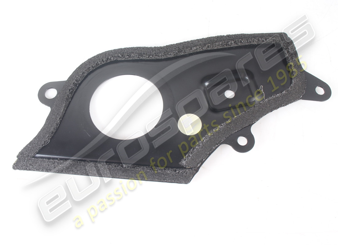 USED Ferrari COMPLETE RH DOOR REMOVABLE PLA . PART NUMBER 87877200 (1)