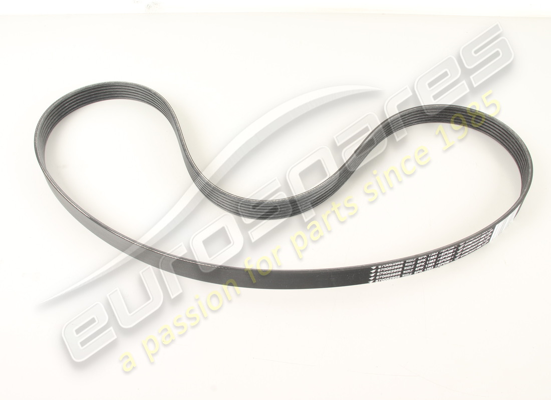 NEW MASERATI A/C AND WATER PUMP DRIVING B. PART NUMBER 670052956 (1) new maserati a/c and water pump driving b. part number 670052956 (1)