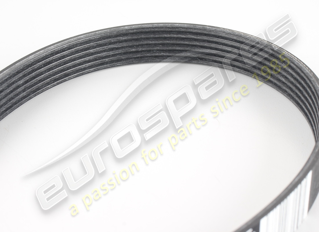 NEW MASERATI A/C AND WATER PUMP DRIVING B. PART NUMBER 670052956 (2) new maserati a/c and water pump driving b. part number 670052956 (2)