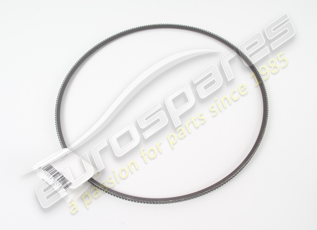 NEW FERRARI ALTERNATOR BELT (7MM X 875). PART NUMBER 300064 (1) new ferrari alternator belt (7mm x 875). part number 300064 (1)