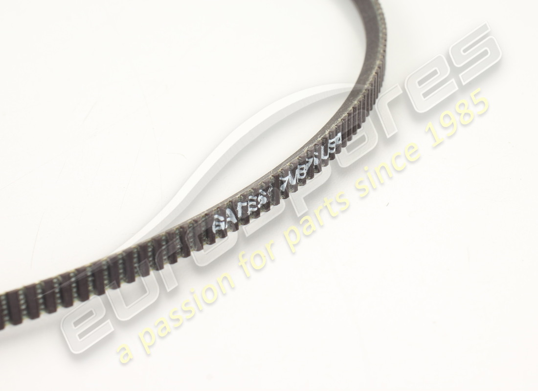 NEW FERRARI ALTERNATOR BELT (7MM X 875). PART NUMBER 300064 (2) new ferrari alternator belt (7mm x 875). part number 300064 (2)