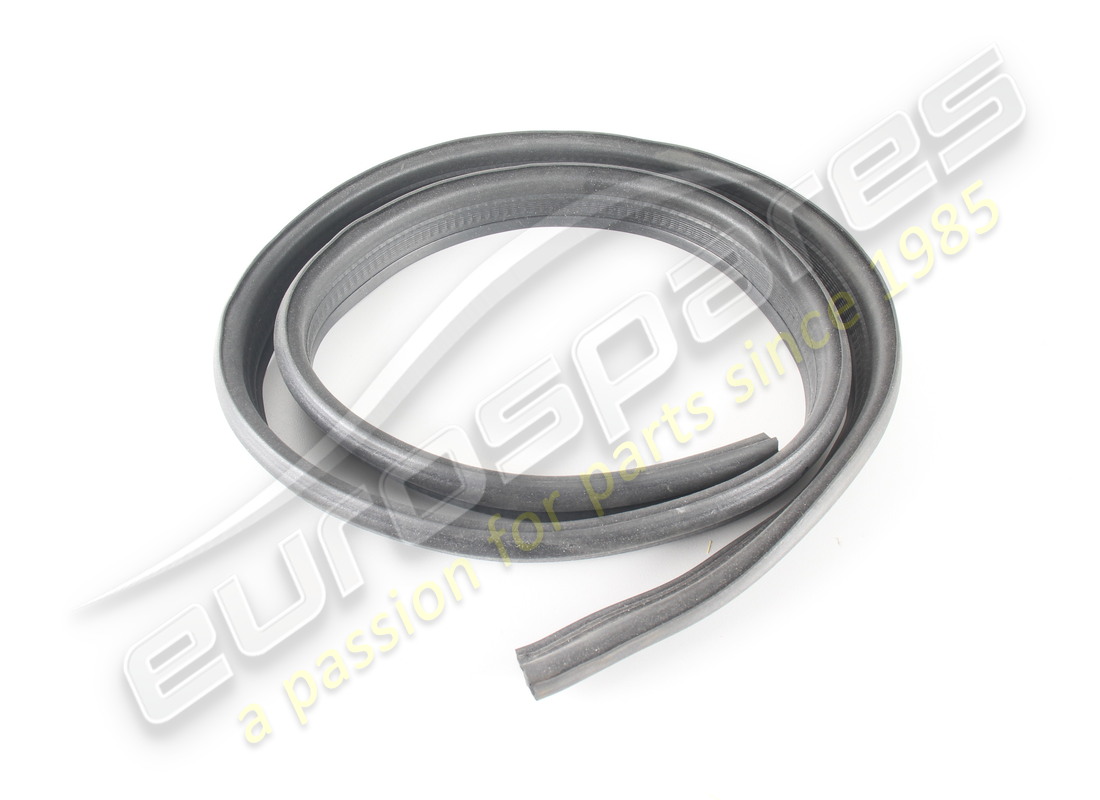 new ferrari conveyor gasket. part number 65714200 (1)