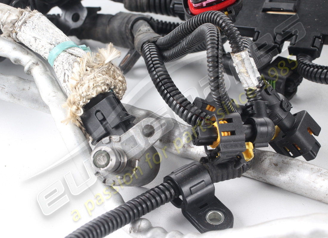 used ferrari injection wiring harness. part number 314807 (3)
